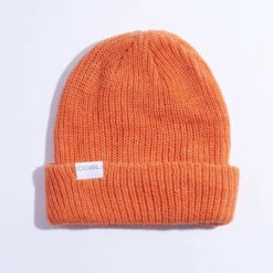 COAL THE STANLEY BEANIE