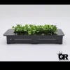 GRINDRIGHT FINGERBOARDING LARGE PLANTER -Modern Skate Store 5F524073 CE4C 4234 91B1 915751AC78AD