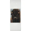 ZERO BUFFALO SKATEBOARD DECK -Modern Skate Store rs de005ced 2810 4c91 a0f0 084028c65b3a
